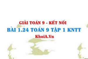 Bài 1.24 SGK Toán 9 tập 1 Kết nối tri thức